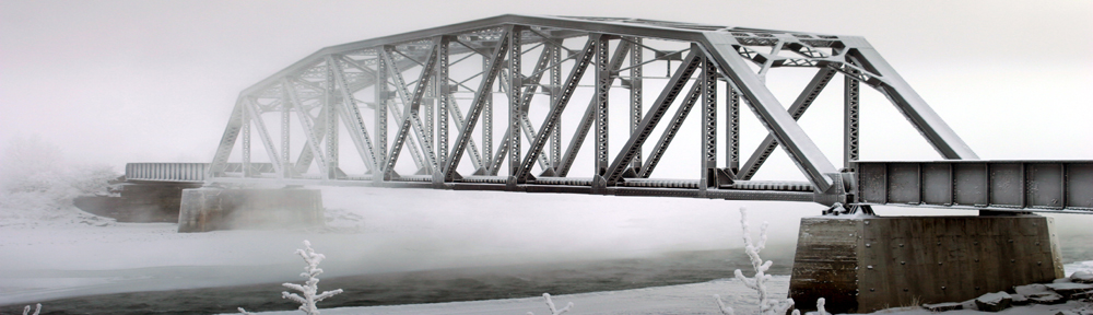 Lawyers, Guns, and Money