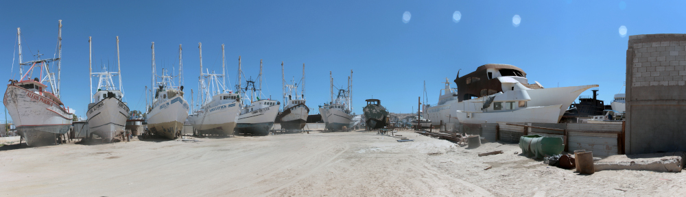 Lawyers, Guns, and Money